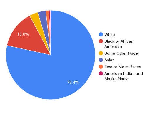 population by race for michigan